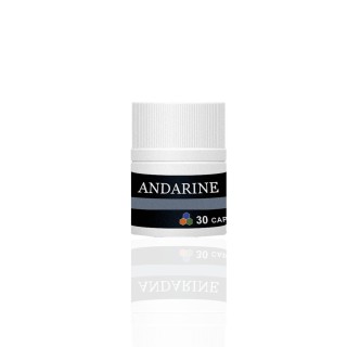 Andarine (S4) 25 mg Vital Research