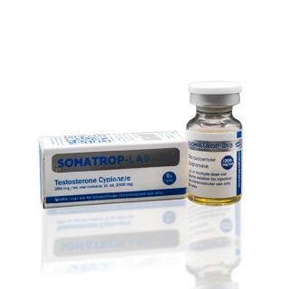 Testosterone Cypionate 250 mg Somatrop-Lab Testosterone Cypionate 250 mg Somatrop-Lab