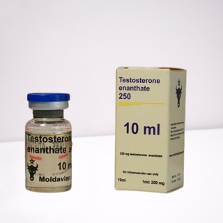 Testosterone enanthate 250 mg Moldavian Pharma Testosterone enanthate 250 mg Moldavian Pharma